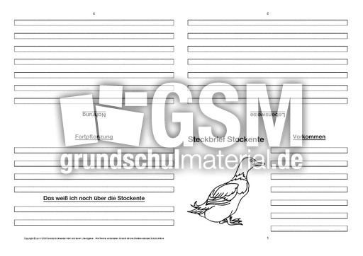 Stockente-Faltbuch-vierseitig-5.pdf